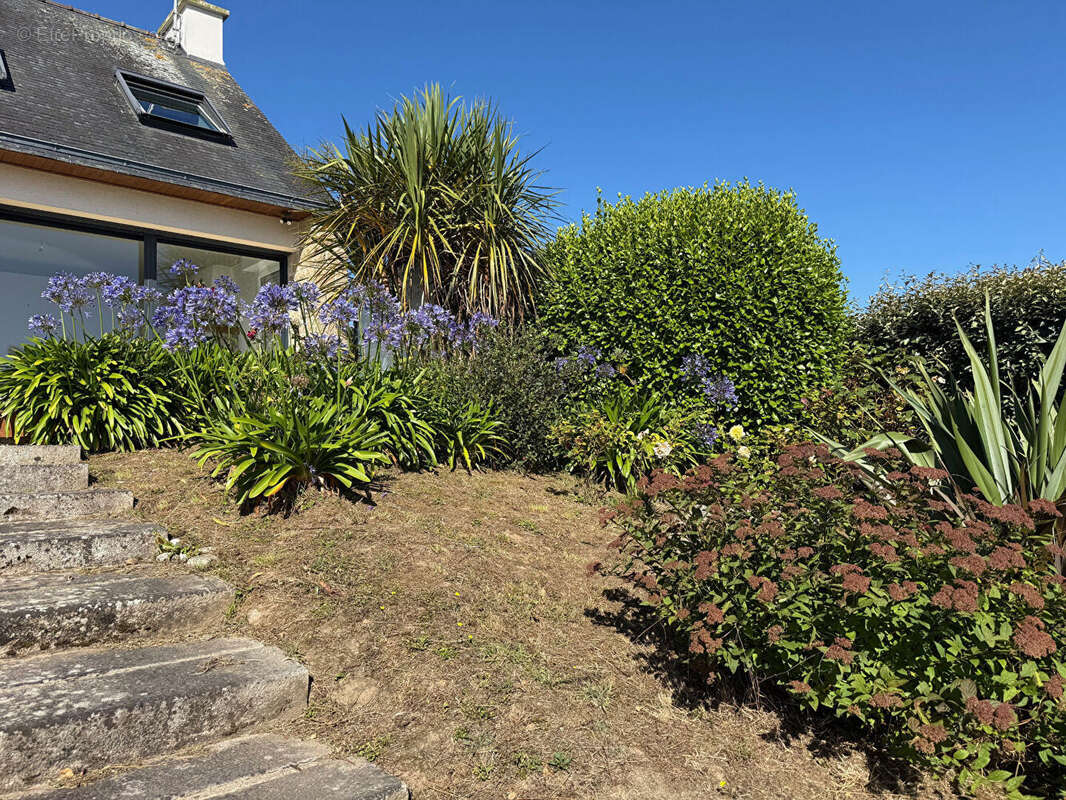 Maison à SAINT-POL-DE-LEON