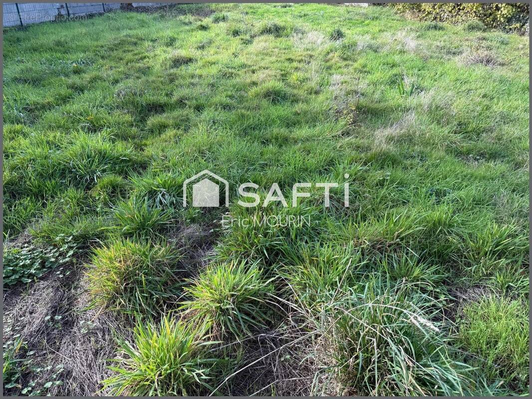 Photo 1 - Terrain à SEGRE