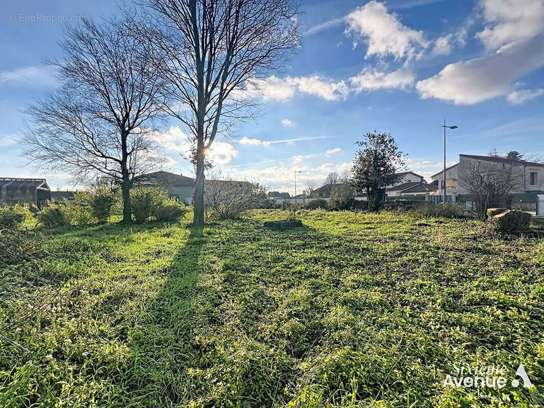 Terrain à SOLAIZE