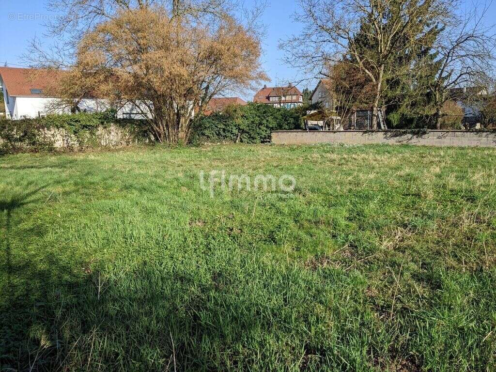 Terrain à SOULTZ-SOUS-FORETS