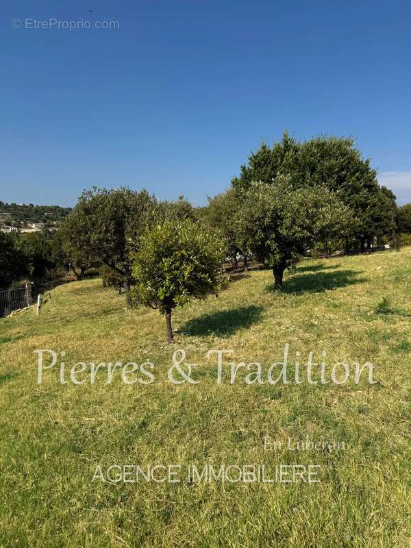 Exclusivité !  beau terrain constructible à deux pas de la ville - photo 4