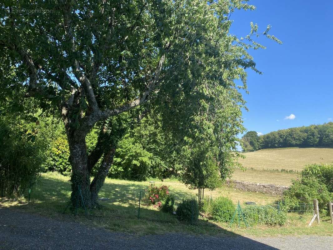 Maison 140 m² à Chamberet  - photo 8