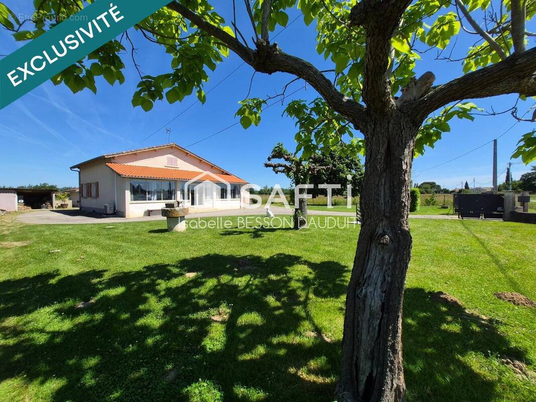 Photo 1 - Maison à NEGREPELISSE