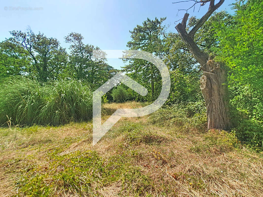Maison et terrain à vendre Sauzet 12 pièce(s) 276 m2 - photo 6