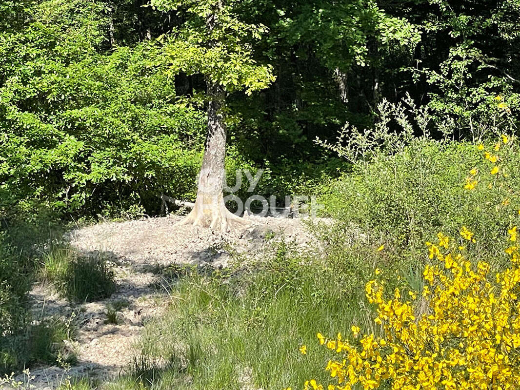 Terrain à PRESLY