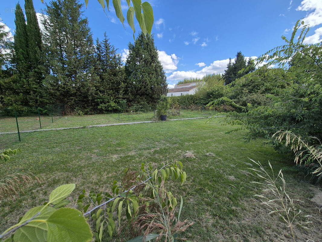 Terrain à COURTHEZON