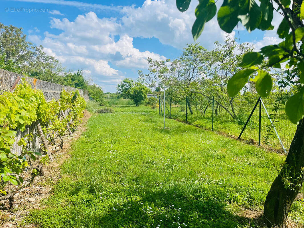 Maison à MAISONNEUVE
