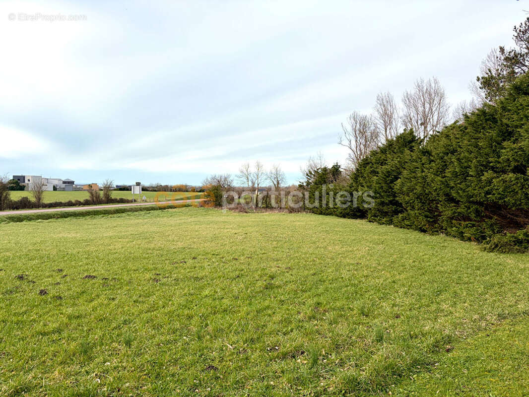 Maison à BLAINVILLE-SUR-MER