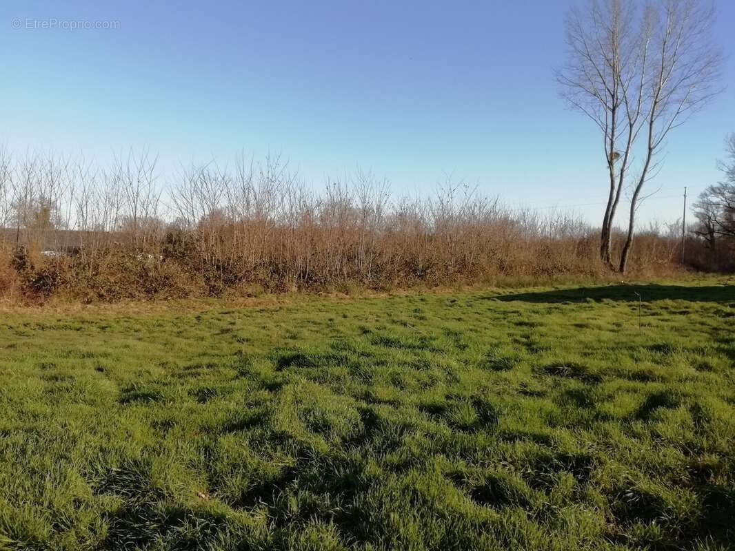 Terrain à PONT-DE-VAUX