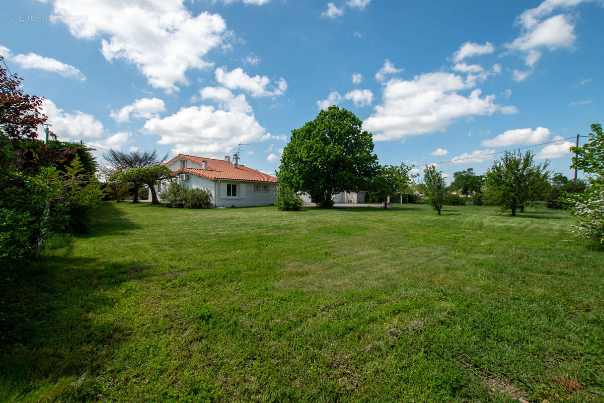 Maison à LAMASQUERE