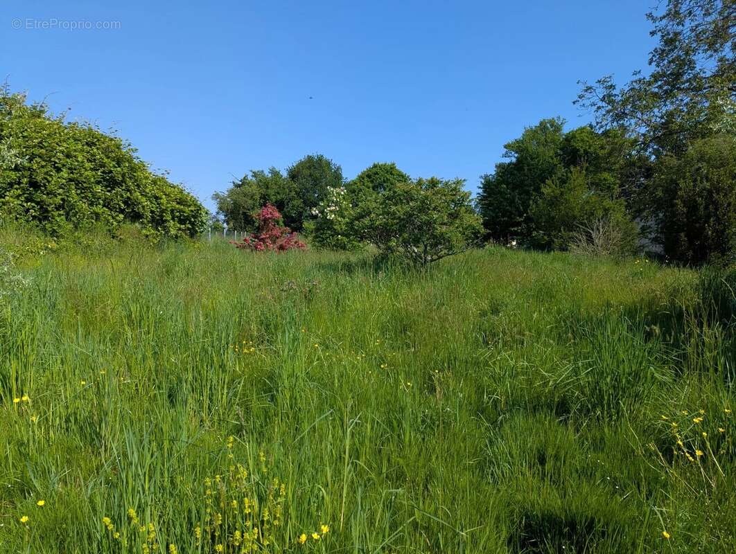 Maison à LA CHATRE-LANGLIN