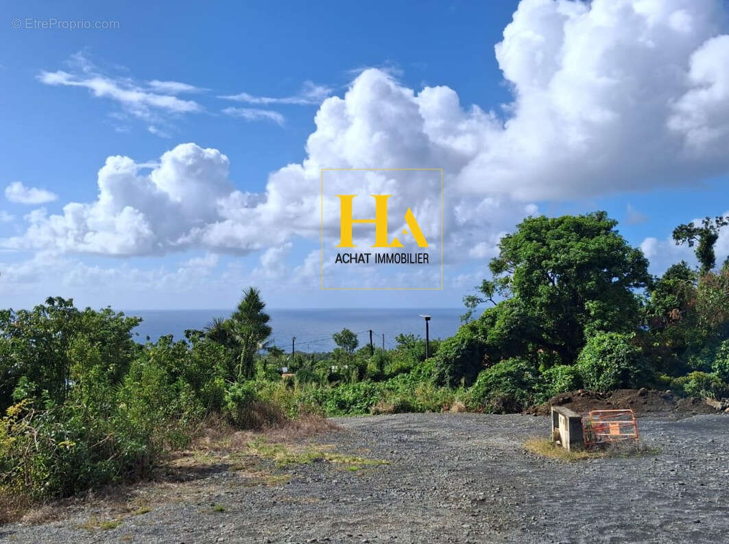 Terrain à SAINTE-ROSE