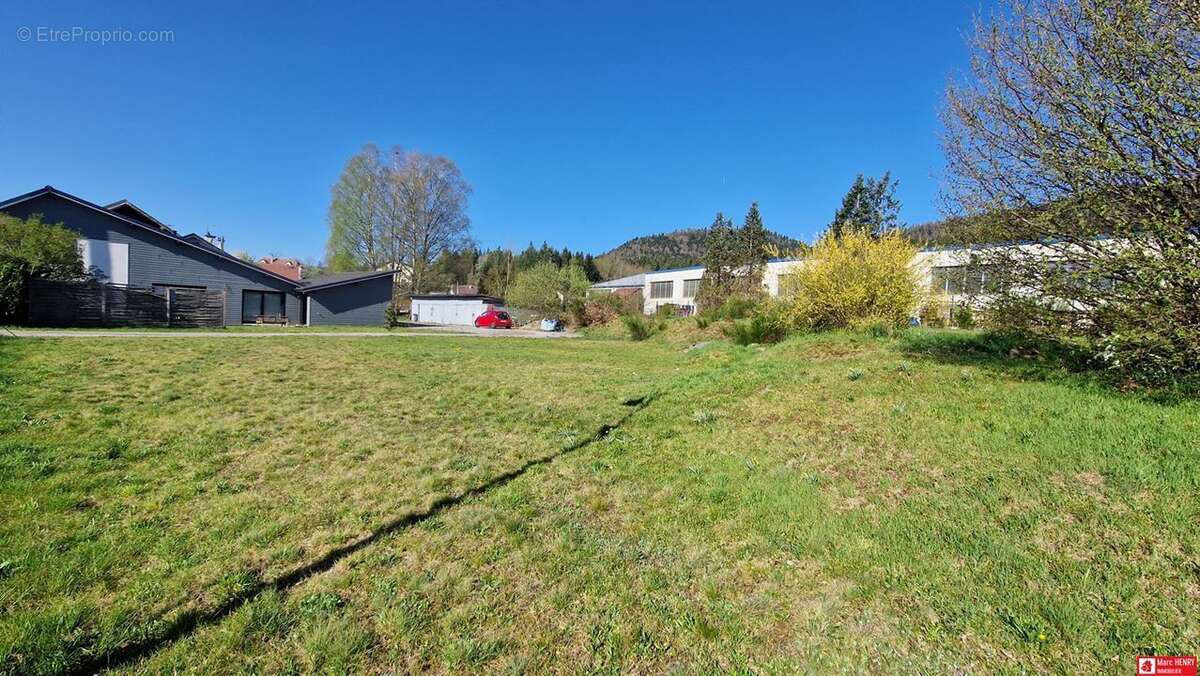 Terrain à SAINT-AME