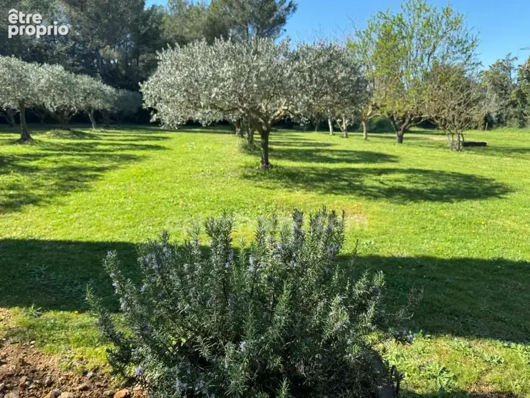 Maison Provençale au coeur des Alpilles - photo 3
