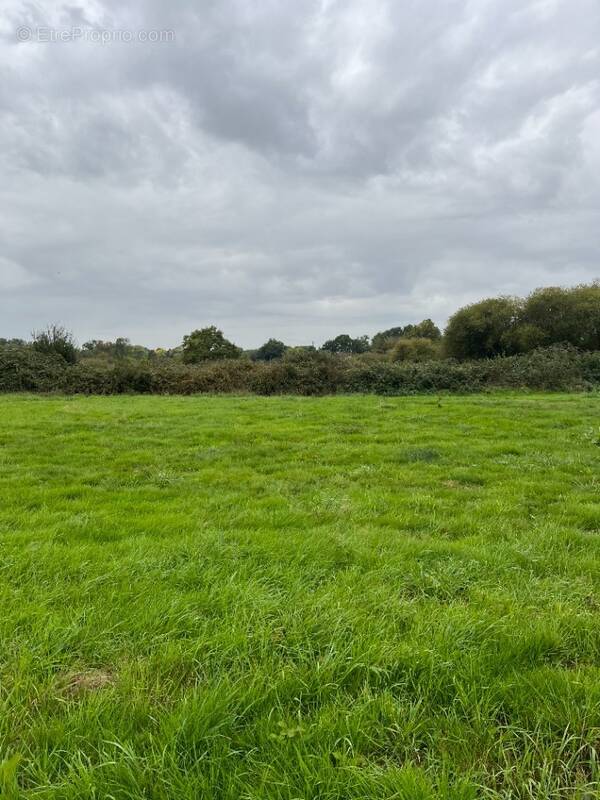 Terrain à SAINT-GERMAIN-DU-CORBEIS