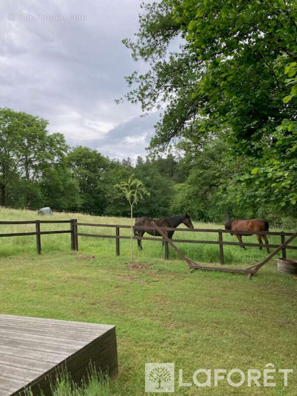 Maison à BOURG-LASTIC