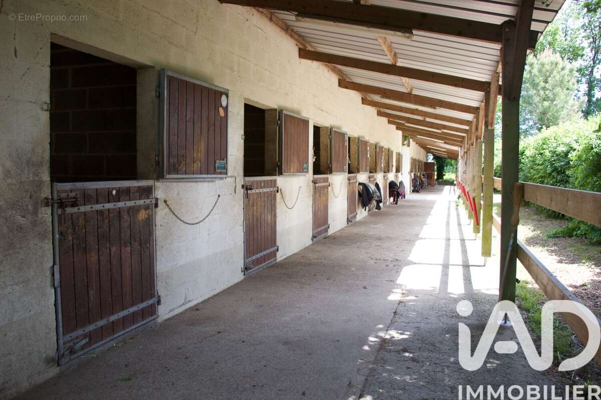 Maison 353 m² à Verrie  - photo 2