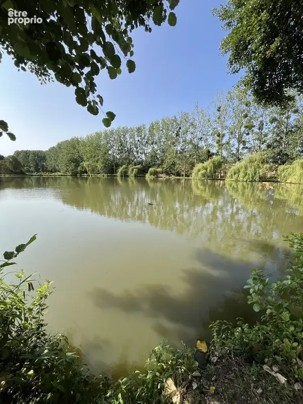 Terrain 49 024 m² à vendre à Moulins-Le-Carbonnel (72130) - photo 2