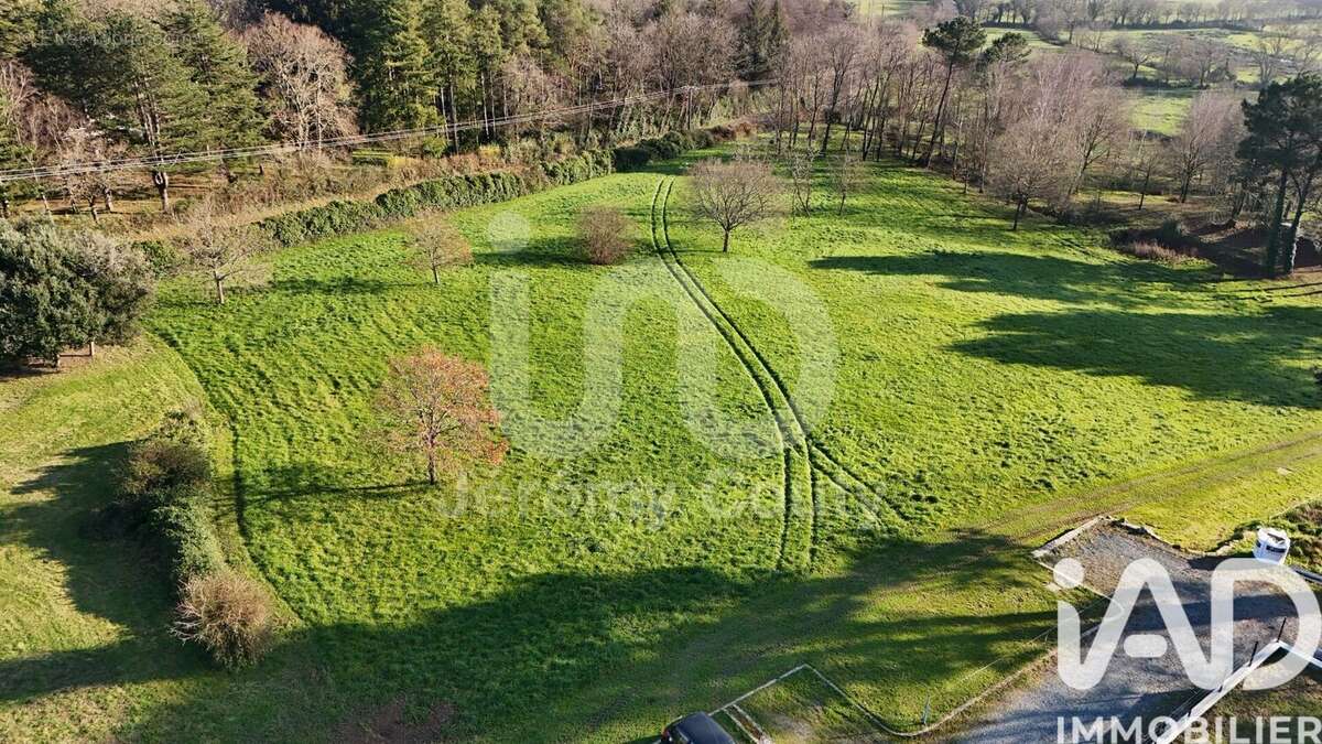 Photo 3 - Maison à SAVENAY