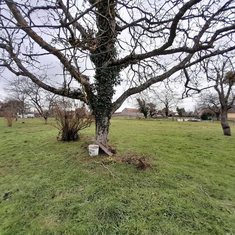 Maison à SAINT-MARCEL