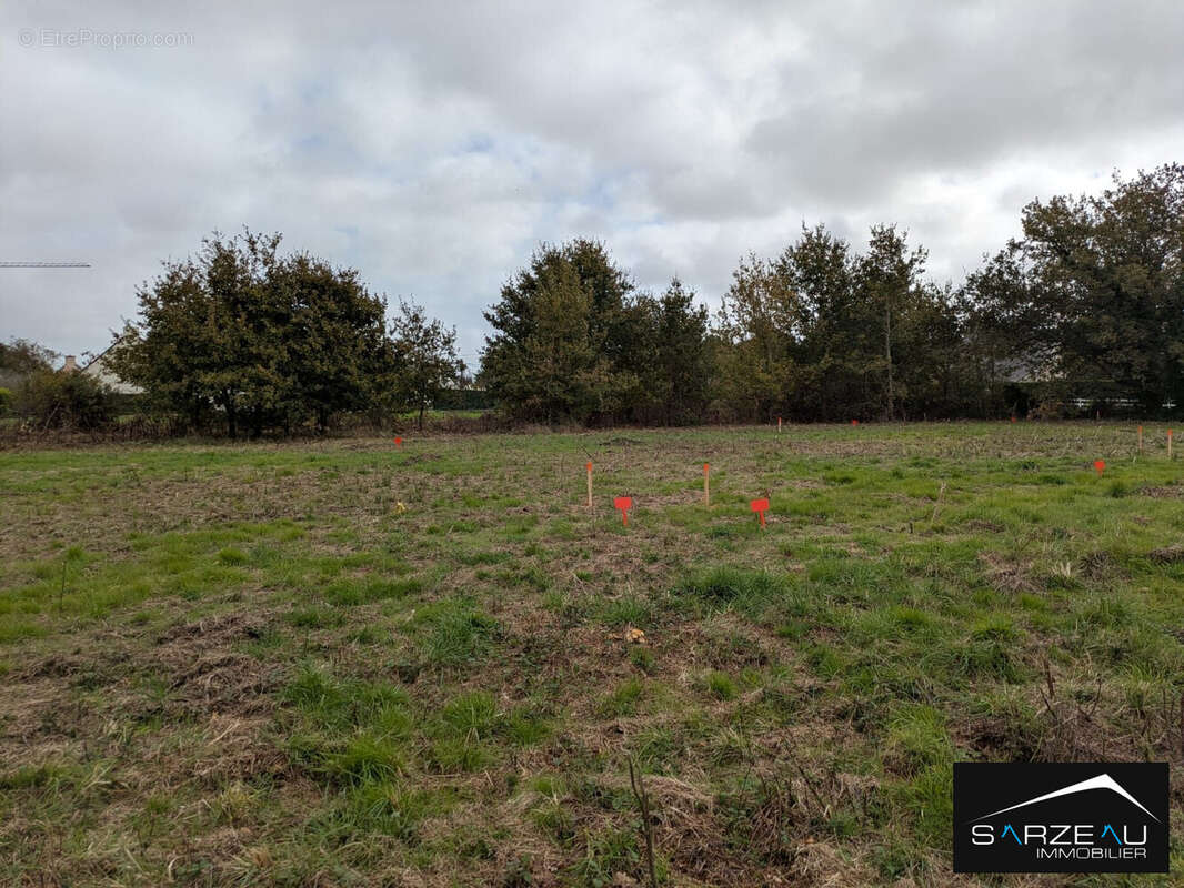 Terrain à LE TOUR-DU-PARC