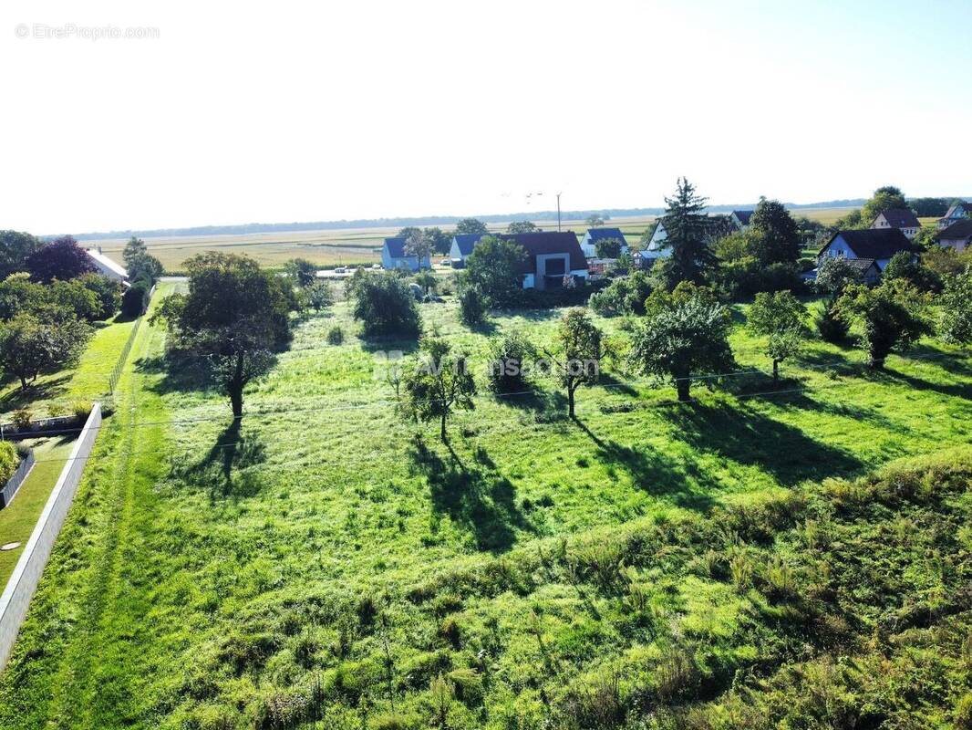 Terrain à GRUSSENHEIM