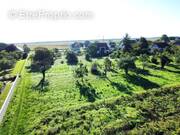 Terrain à GRUSSENHEIM