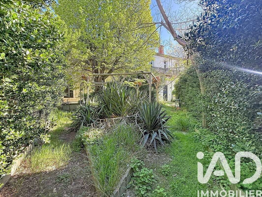 Photo 2 - Appartement à BEZIERS