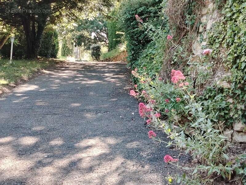 A vendre, Villa d'architecte dans un havre de paix situé à Migné Auxances - photo 6