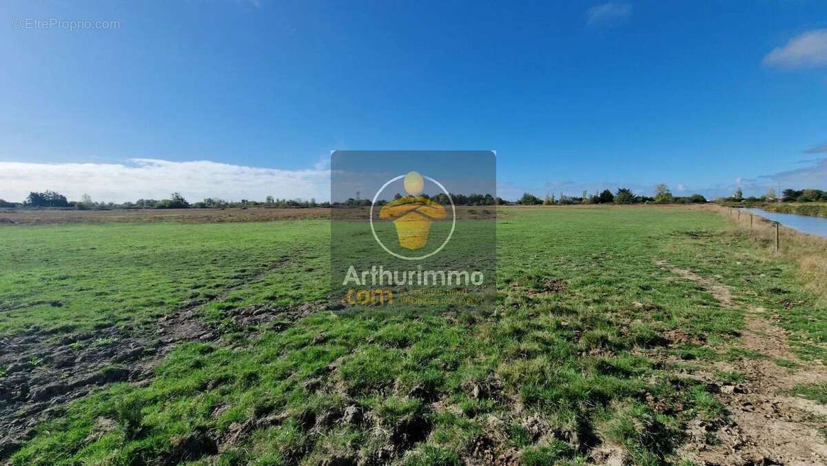 Maison à BOIS-DE-CENE
