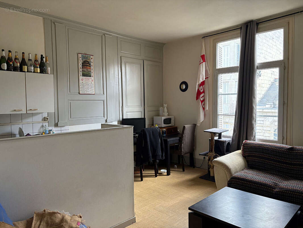 Lot de 2 Appartements Saumur T2 38 et 32 m2 - photo 3