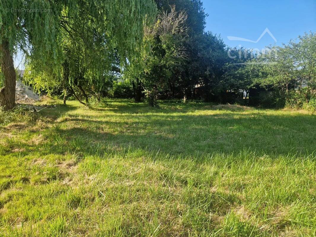Terrain à SAVONNIERES