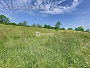 Terrain à LIEUTADES