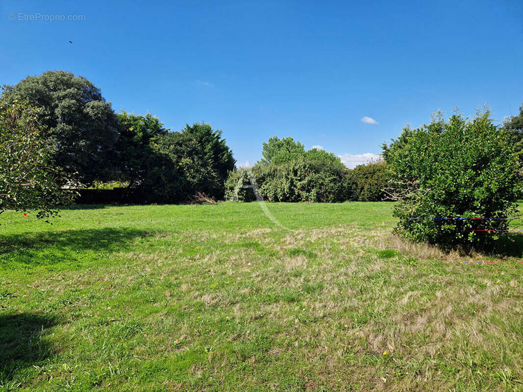 Terrain à BREM-SUR-MER
