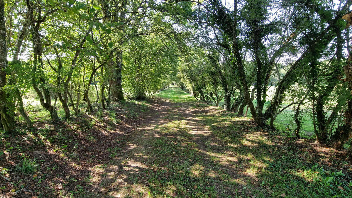 20250919_152222 - Maison à ABJAT-SUR-BANDIAT