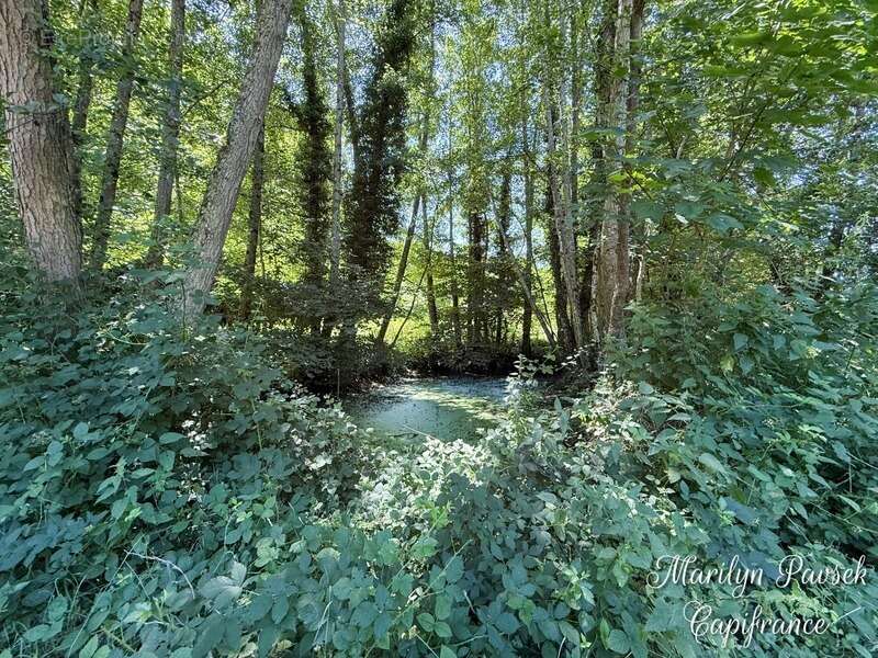 Propriété de charme avec 3,5 hectares – Ancien moulin rénové – Secteur Sermentizon - photo 30
