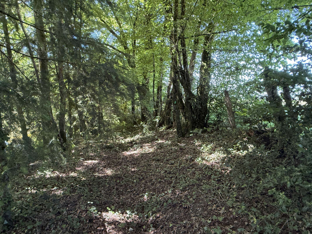 Terrain à LUBERSAC