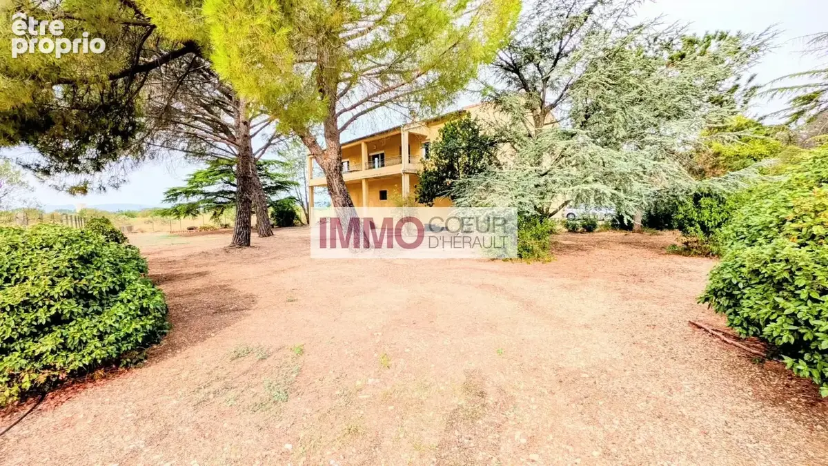 Photo Maison à Saint-Andre-De-Sangonis au prix de 572 000€