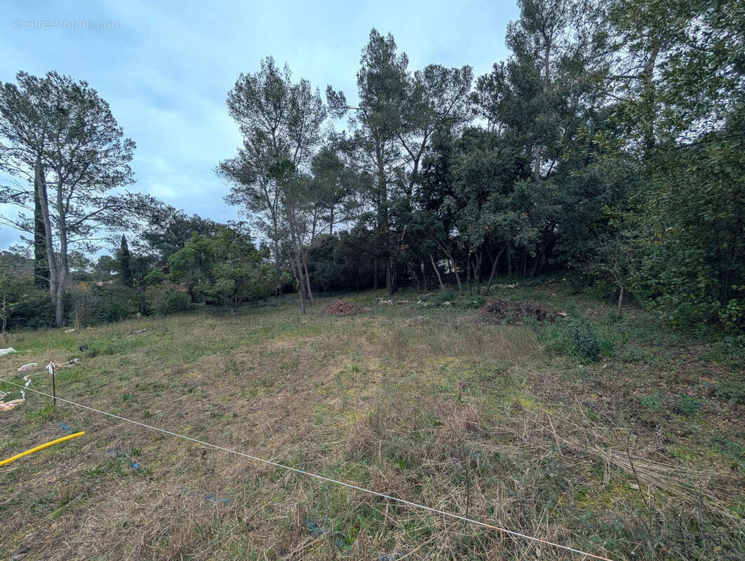 Terrain à SAINT-VINCENT-DE-BARBEYRARGUES