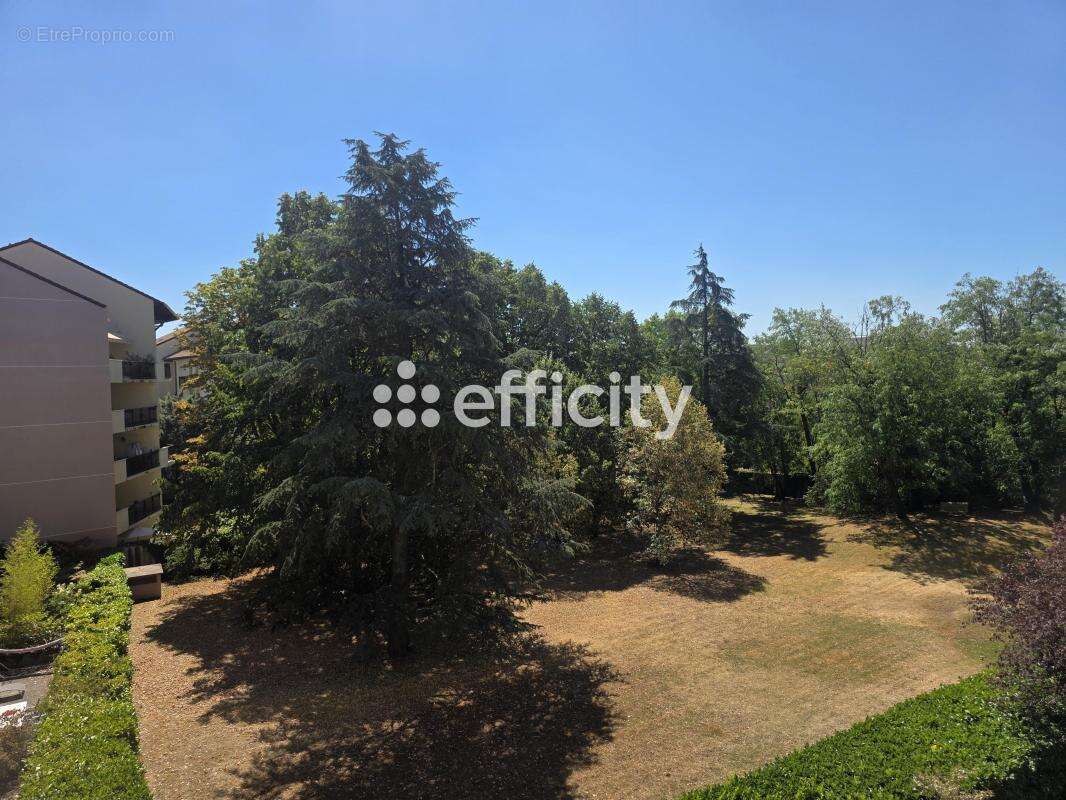Appartement - photo 10