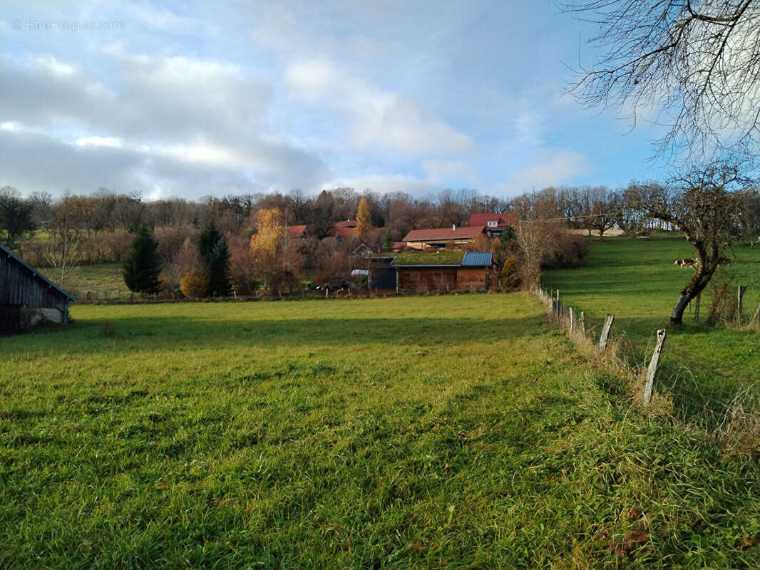 Terrain à SAINTE-ANNE