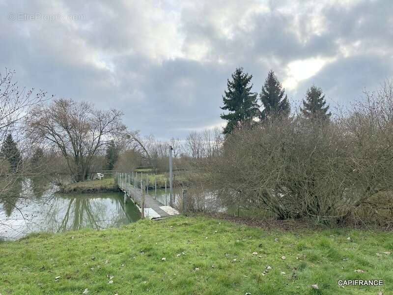 Terrain de loisir avec étangs proche de la Ferté-Bernard (72400) - photo 8
