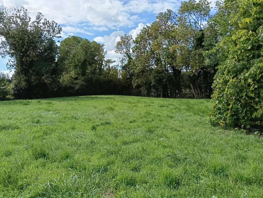 Terrain à LA BARRE-DE-MONTS