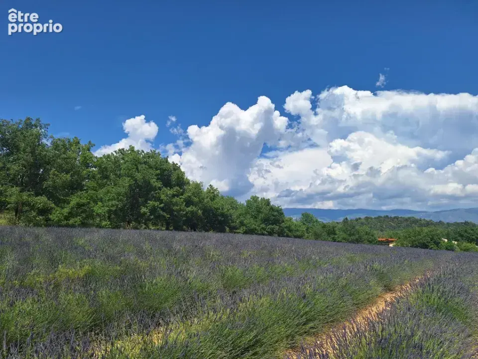 Terrain à ROUMOULES