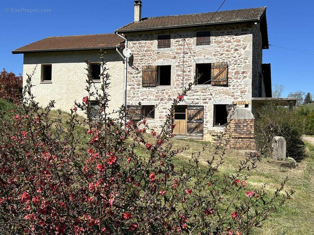 Photo 2 - Maison à LA PACAUDIERE