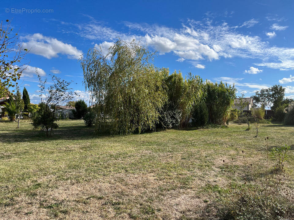Terrain à LA LANDE-DE-FRONSAC