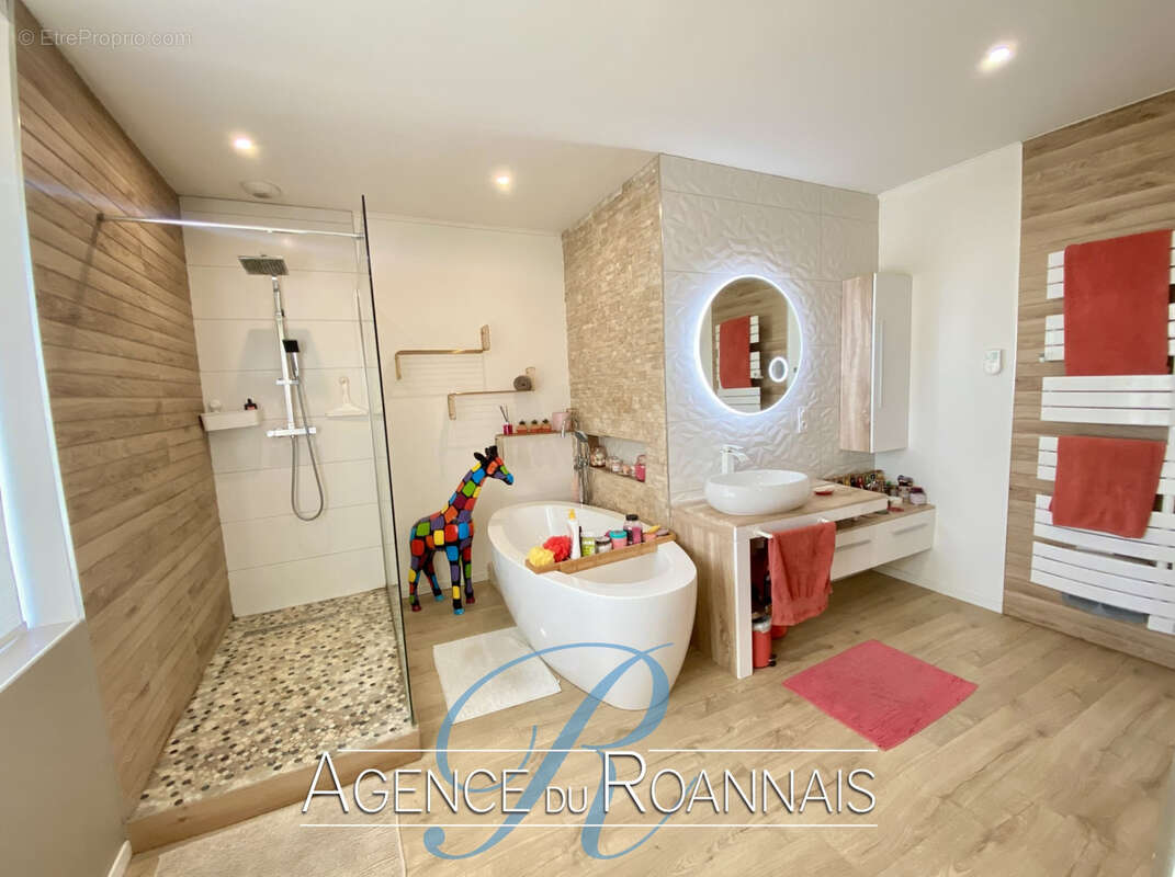 Maison à SAINT-LEGER-SUR-ROANNE