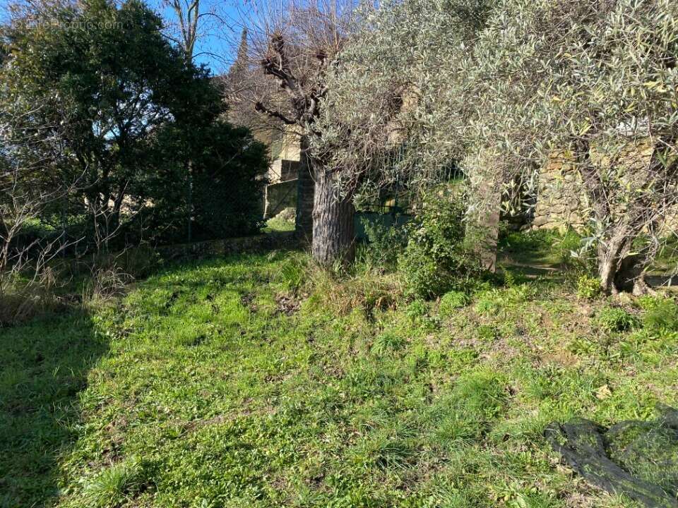 Terrain à LAURIS
