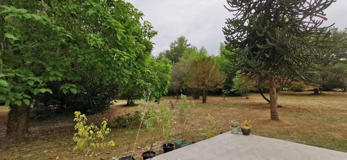 Vente de 2 maisons (1er 160 m² de type F4 + 2ème 46 m² de type F3) au milieu de son terrain de 16600 m² ! - photo 5
