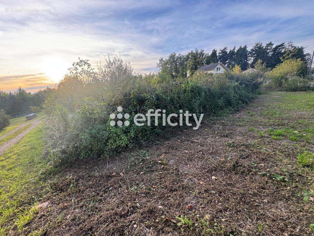 Terrain à PASLIERES